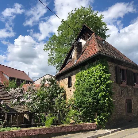 1463 Apartmenthaus & Restaurant-3